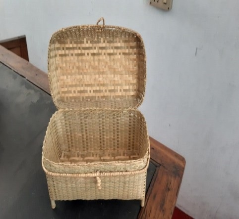 Saarthi device distribution 1